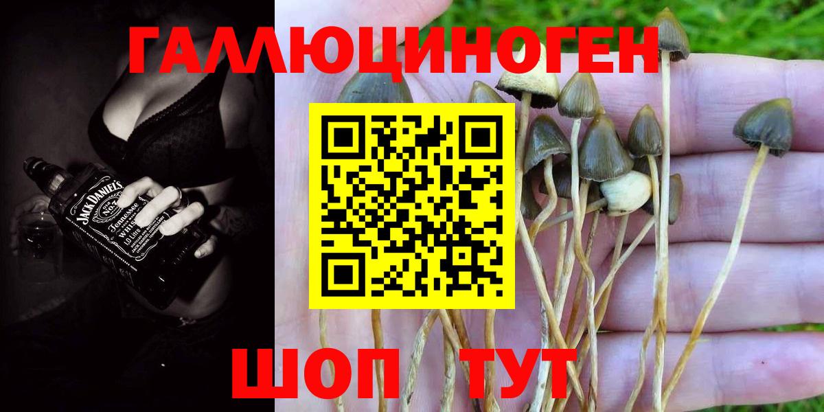 Галлюциногенные грибы прущие грибы Усть-Илимск